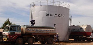 Mulykap