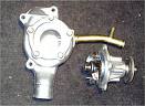 AUTO EVOLUTION LTD
