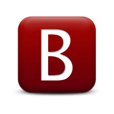 Blueprint Investment Group