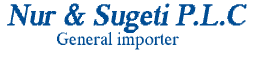 Nur And Sugeti P.L.C